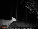 MC 12-17-2011 wounded shed buck.jpg