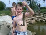 5-6-12 Geoffrey catfish.jpg