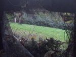 Powerline blind view 9-29-12.jpg