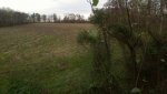 uploadfromtaptalk1351986793147.jpg