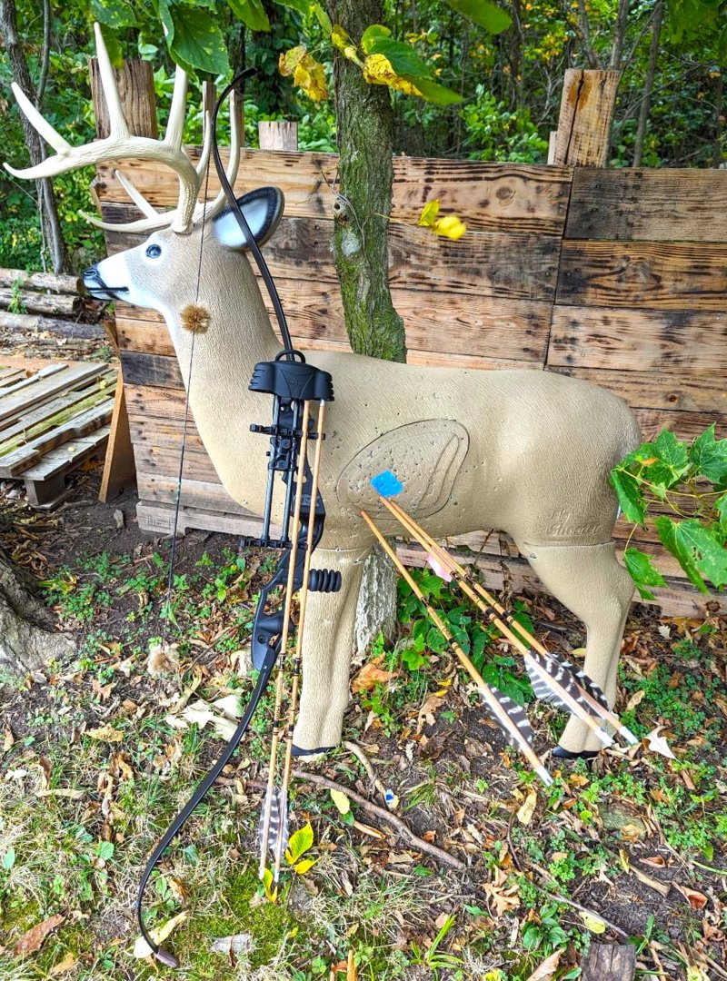 3D Deer.jpg