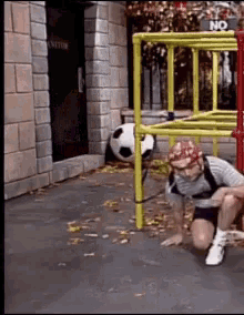 heertsy-you-can-do-it(1).gif