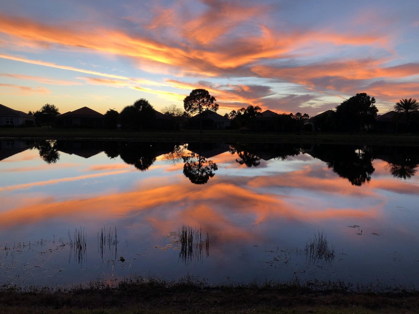 Tim's Florida sunset.jpg