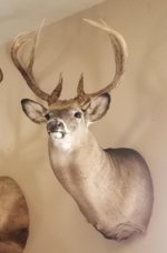 Greg 2020 Buck 1.jpg