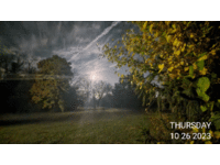20231026_085702.gif