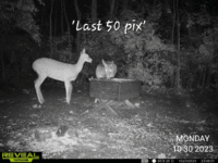 20231030_090219.gif
