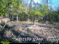 20231112_094842.gif