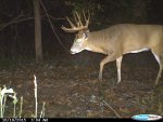 IMG_1919.jpg