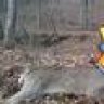 Ohiobowhunter1