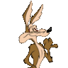 Wiley E Coyote