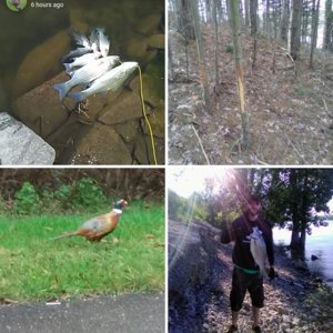 Public land killer