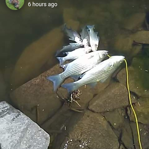 Screenshot_2020-08-08-20-31-58.png