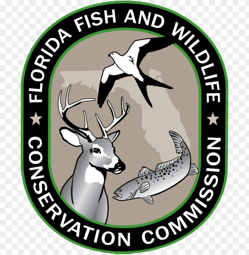 gooutdoorsflorida.com